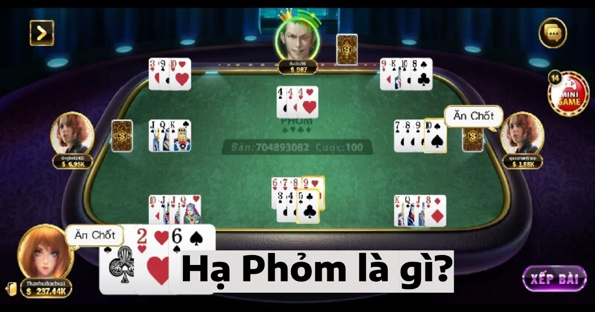 ha phom la gi 4